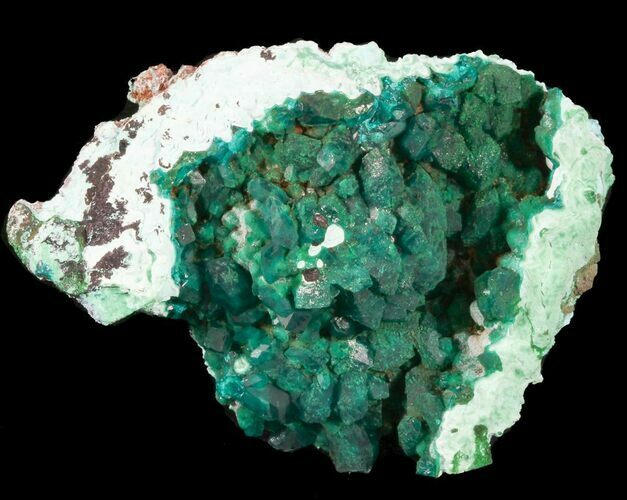 Dioptase Cluster on Plancheite - Congo #45297